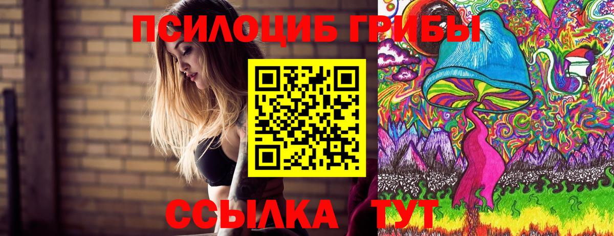 Галлюциногенные грибы Magic Shrooms Заринск