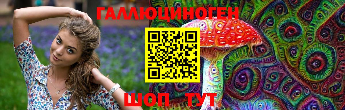 Заринск  Псилоцибиновые грибы Psilocybe  Вход с VPN  Галлюциногенные грибы прущие грибы 